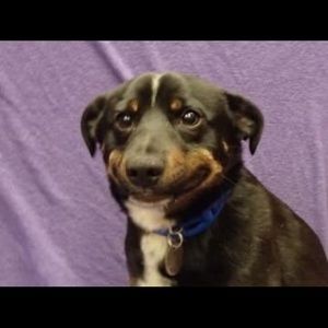 Meet your Posher, Ian